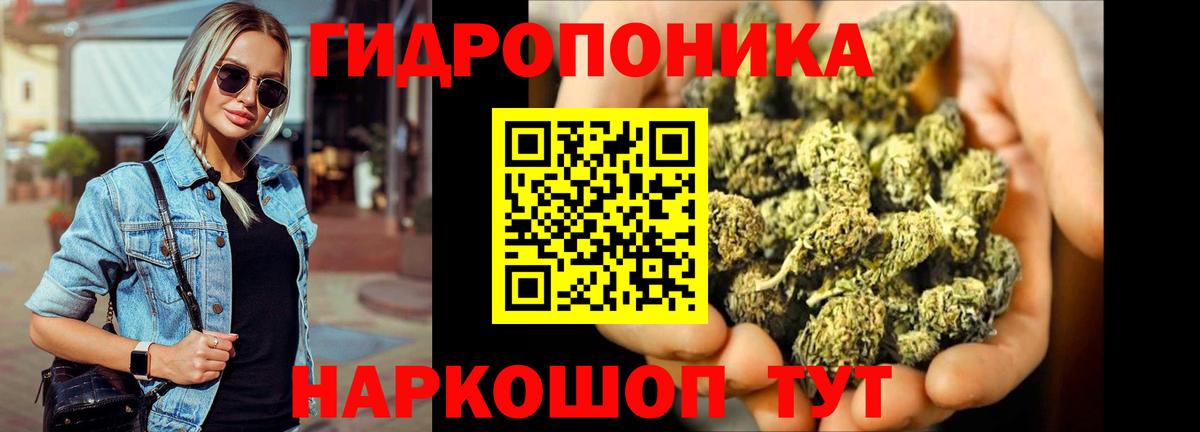 Орехово-Зуево  Канабис план  Конопля ГИДРОПОН  Каннабис White Widow  Вход с VPN 